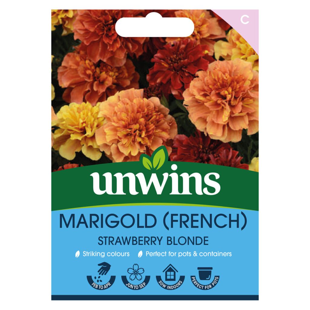 Unwins French Marigold Strawberry Blonde Seeds 5051618035668 2